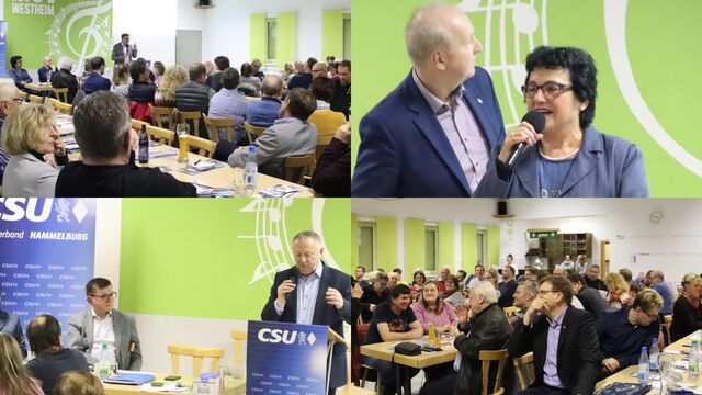 Fotocollage von der Wahlversammlung in Westheim (Fotos: Kilian Warmuth)