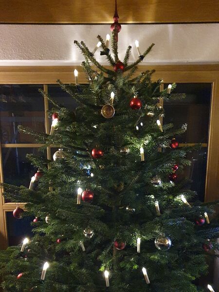 Ludwig Schifferl Weihnachtsbaum