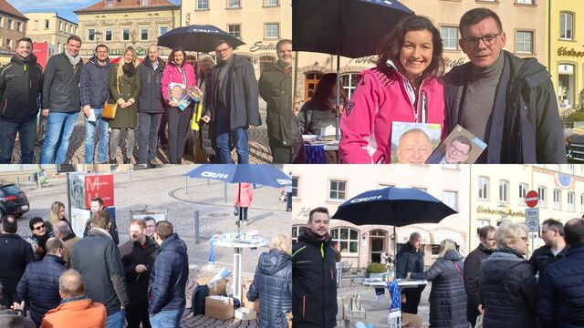 Fotocollage vom Infostand auf dem Markplatz (Fotos: Kilian Warmuth)